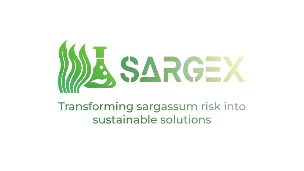 Fotograma del proyecto SARGEX